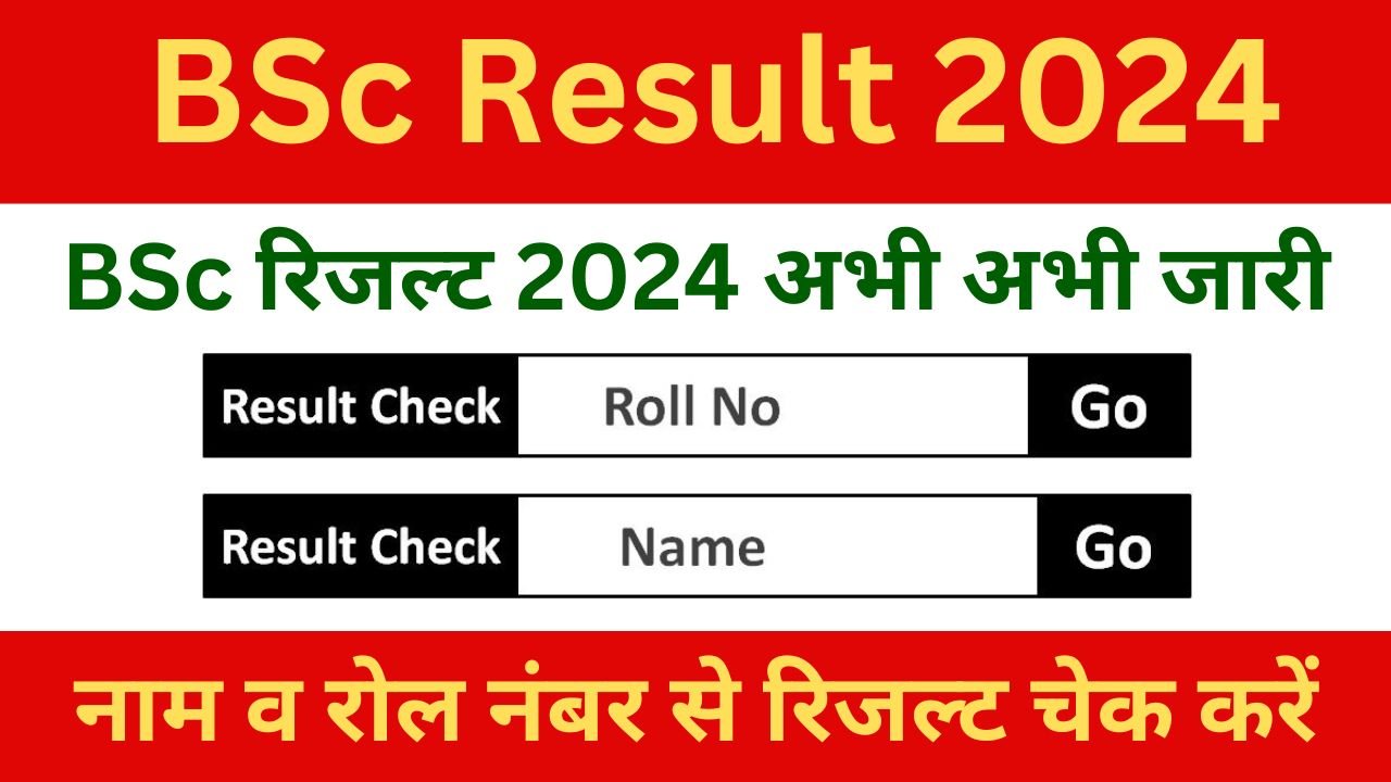 BSc Result 2024 - BSc रिजल्ट 2024 अभी अभी जारी, यहां से करें चेक