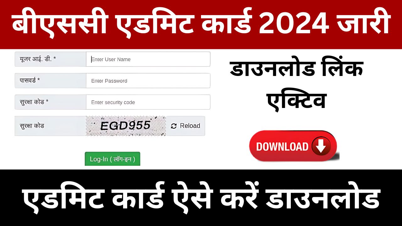 Bsc 3rd year Admit Card 2024 - बीएससी एडमिट कार्ड डाउनलोड लिंक जारी, जाने पूरी जानकारी