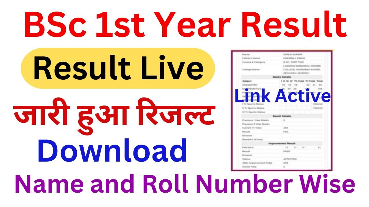 BSc 1st Year Exam Result 2024 (बीएससी पार्ट 1st ईयर रिजल्ट 2024 जारी