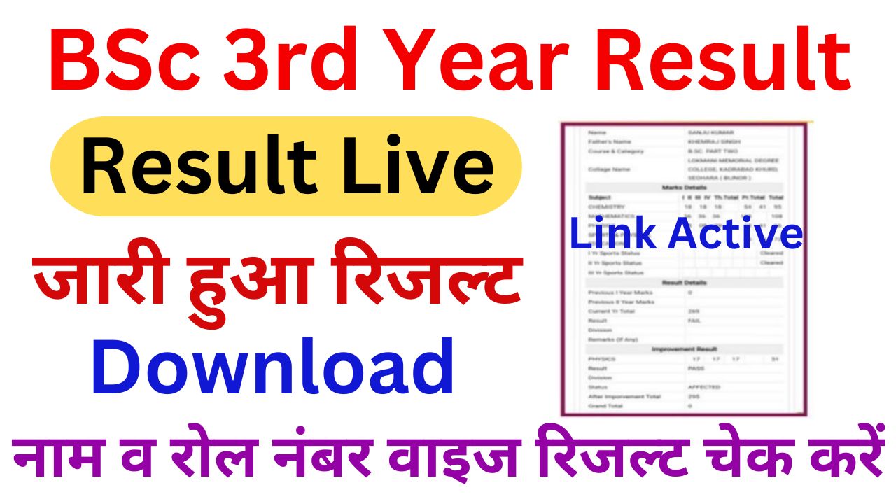 BSc 3rd Year Exam Result 2024 (बीएससी पार्ट 3rd ईयर रिजल्ट 2024 जारी) बीएससी तृतीय वर्ष रिजल्ट यहां से चेक करें