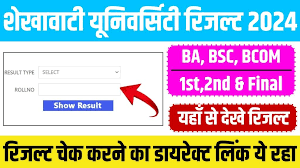 PDUSU Result 2024 - शेखावाटी यूनिवर्सिटी बीए बीएससी बीकॉम प्रथम द्वितीय तृतीय वर्ष रिजल्ट जारी, यहां से चेक करें