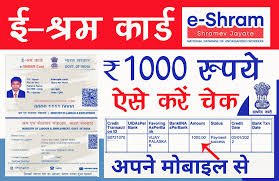 E Shram Card Payment Status Check Online : ई-श्रम कार्ड का पैसा आना शुरू अभी चेक करें